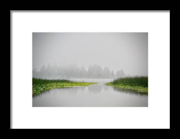 Nature Framed Print featuring the photograph Foggy Morning by Bonnie Bruno