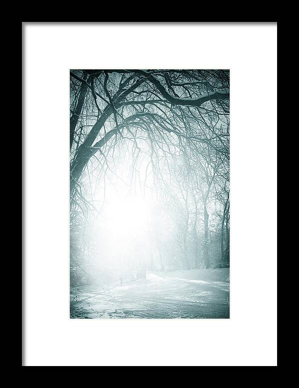 Shadow Framed Print featuring the photograph Foggy Old Trees Near The Road In Winter by Kamisoka