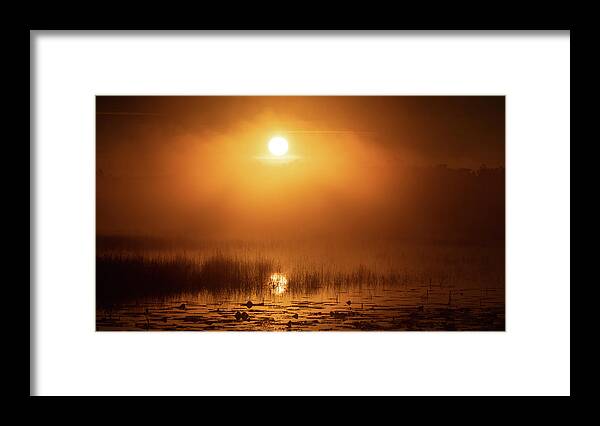 Florida Framed Print featuring the photograph Foggy Sunrise Ocala National Forest Florida by Lawrence S Richardson Jr
