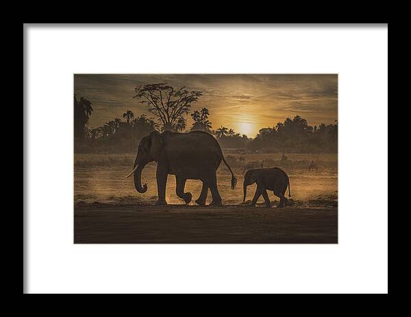  Framed Print featuring the photograph Follow Me by Isam Telhami
