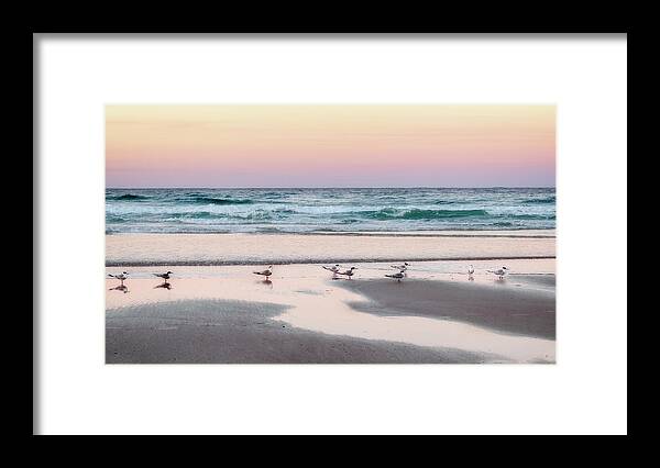 Sea Framed Print featuring the photograph Follow The Leader by Catherine Reading