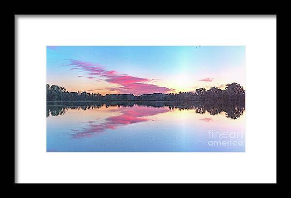 Natuurgebied Het Weegje Framed Print featuring the photograph Follow your passion by Casper Cammeraat