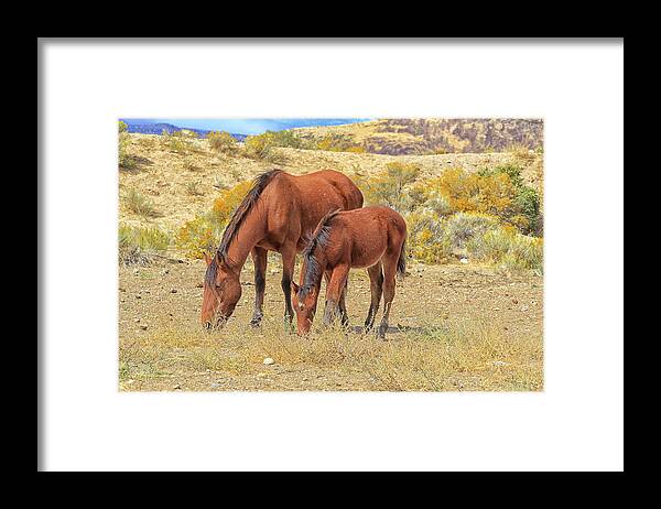 Nevada Framed Print featuring the photograph Following the Lead by Tom Kelly