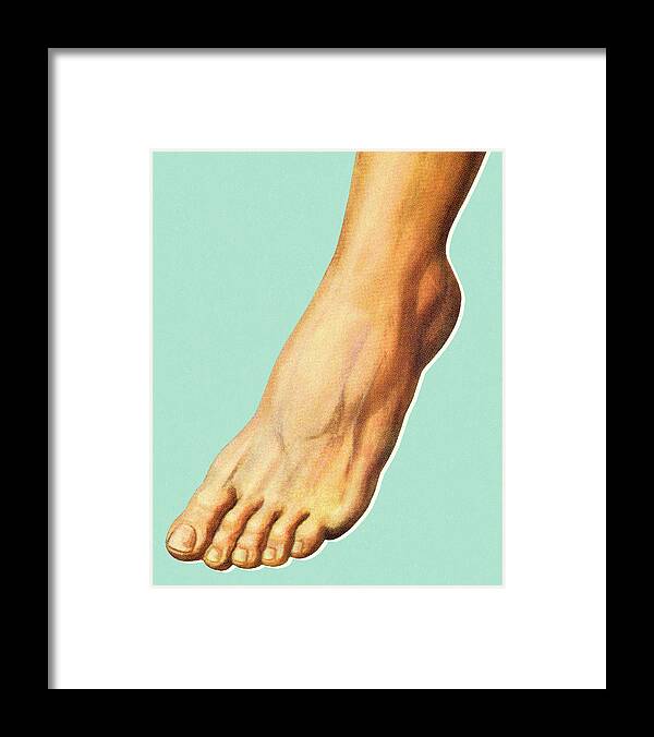 Anatomical Framed Print featuring the drawing Foot by CSA Images