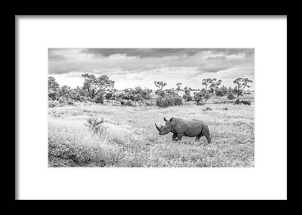 Rhino Framed Print featuring the photograph Foreboding Skies by Hamish Mitchell
