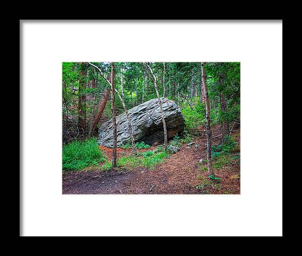 Landscape Framed Print featuring the photograph Forest Boulder by Dan Miller
