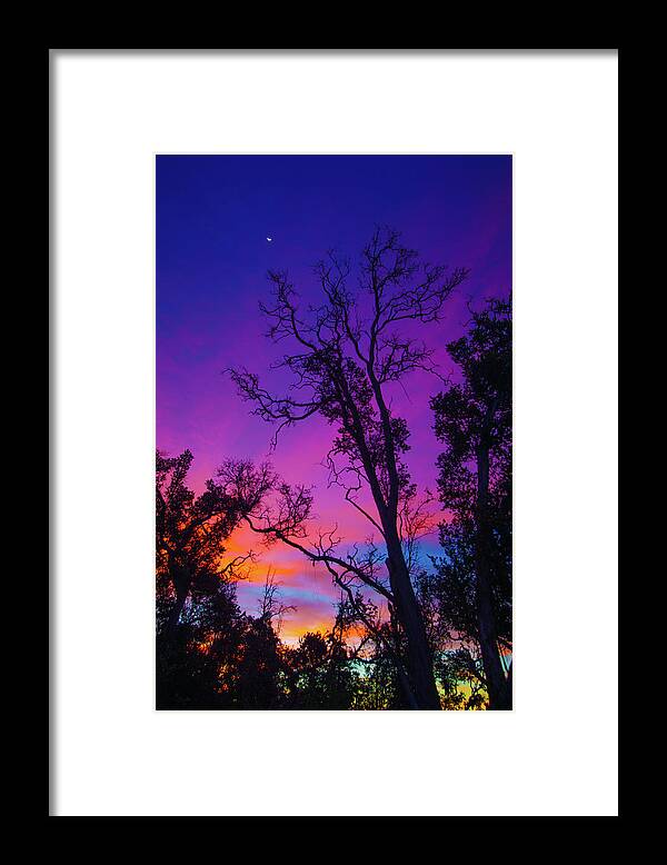 Images And Videos Byj Ohn Bauer Johnbdigtial.com Framed Print featuring the photograph Forest Colors by John Bauer