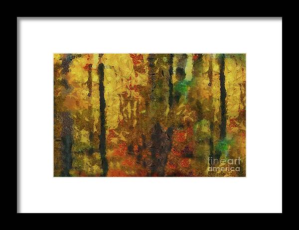 Forest Framed Print featuring the photograph Forest Colours by Elaine Manley