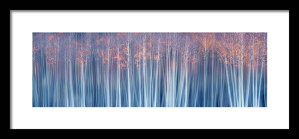 Shapes Framed Print featuring the photograph Forest In Autumn Dream by Mei Xu