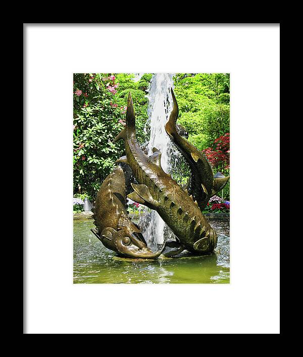 Canada Framed Print featuring the photograph Fountain sculpture, Butchart gardens, BC by Segura Shaw Photography