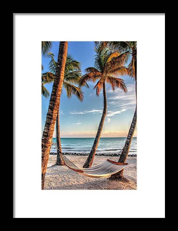 Beach Framed Print featuring the photograph Four Palm Hammock by Robert Goldwitz