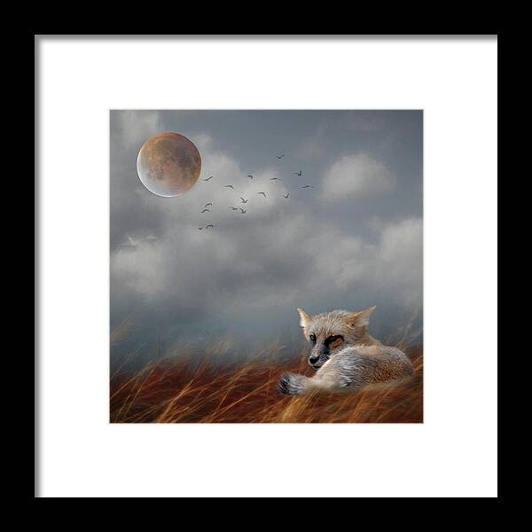 Fox Framed Print featuring the photograph Fox in Moonlight Square by Rebecca Cozart