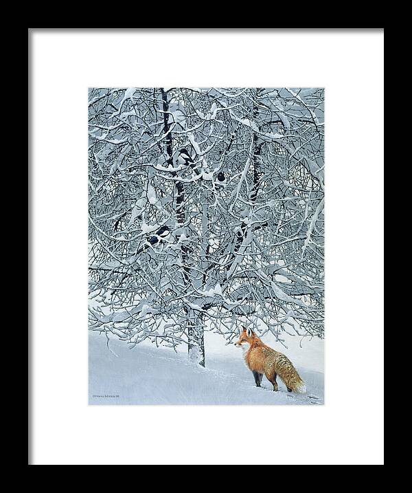 Fox Standing Under A Tree Of Magpies Framed Print featuring the painting Fox In Snow by Harro Maass