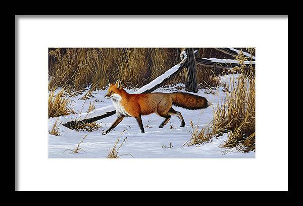 Red Fox Walking Through A Snowy Field Framed Print featuring the painting Fox Trot - Red Fox by Wilhelm Goebel