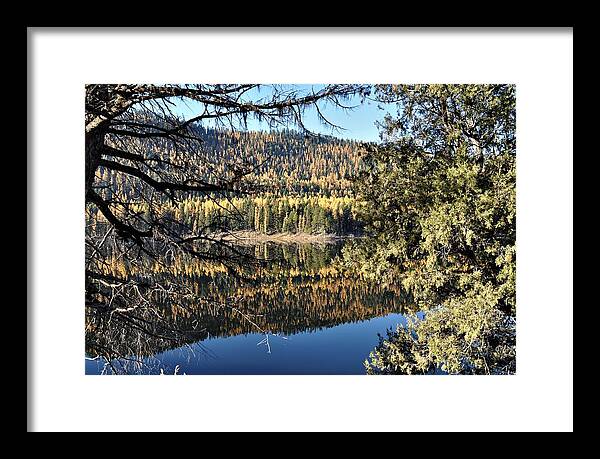 Landscape Framed Print featuring the photograph Framed Reflections by Mike Helland