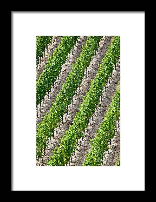 Agricultural Framed Print featuring the photograph French Vineyard by Martyn F. Chillmaid/science Photo Library