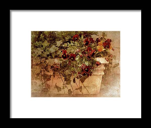 Flowers Framed Print featuring the photograph Fresco by Jessica Jenney