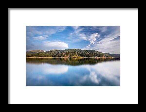 Trees Framed Print featuring the photograph Fresh And Bright by Pelin Genc