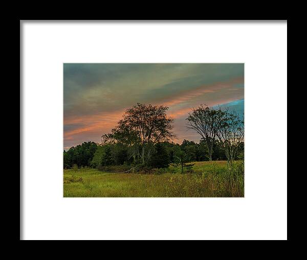Colors Framed Print featuring the photograph Pine Lands in Friendship Sunrise by Louis Dallara