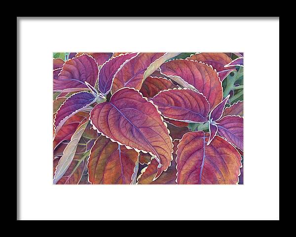Coleus Framed Print featuring the painting Frillery by Sandy Haight