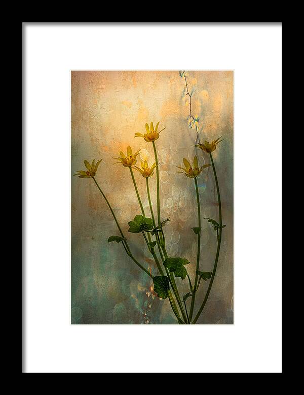 #wildflowers#yellow#spring#garden#bokeh#abstract#vintagelens Framed Print featuring the photograph Frivolous Yellow by Hilda Van Der Lee