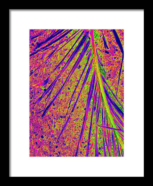 Palm Frond Framed Print featuring the photograph Frond - Beautiful by VIVA Anderson