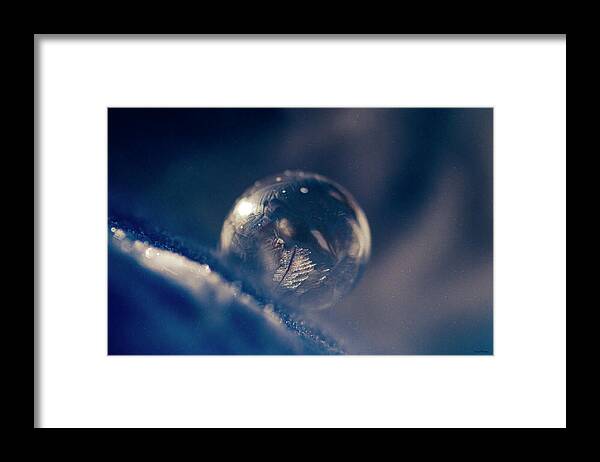 Macro Photography Framed Print featuring the photograph Frozen Bubble in Space by Crystal Wightman