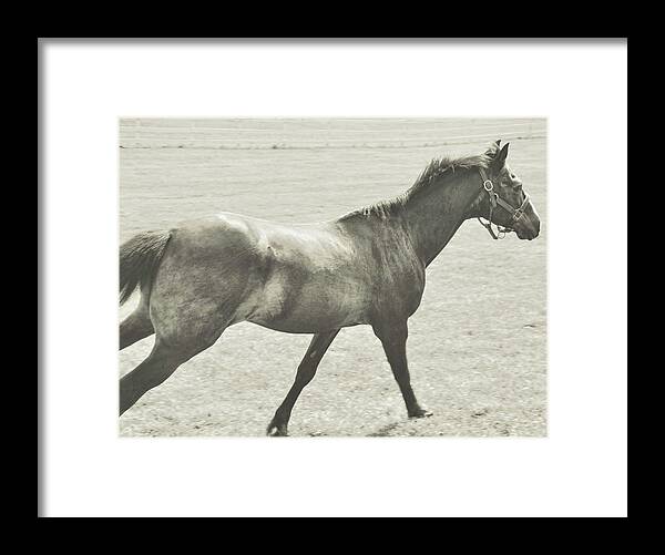 A Framed Print featuring the photograph Full Galloping by JAMART Photography