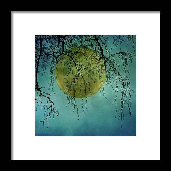 Outdoors Framed Print featuring the photograph Full Moon by Jill Ferry