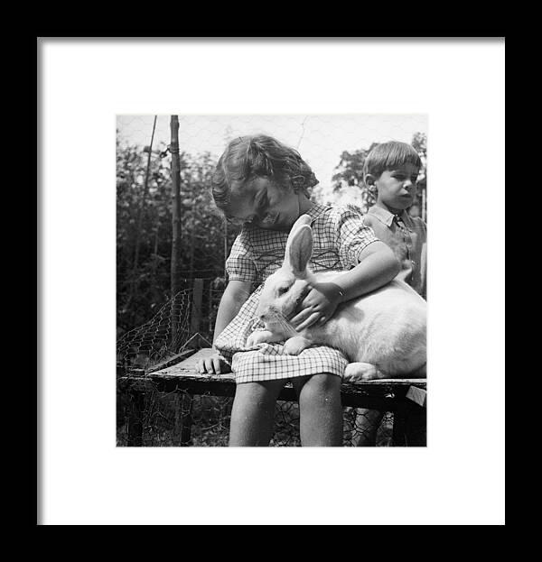 Stroking Framed Print featuring the photograph Furry Friend by Chaloner Woods