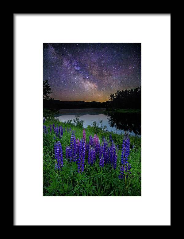 New Hampshire Framed Print featuring the photograph Galactic Lupines by Rob Davies