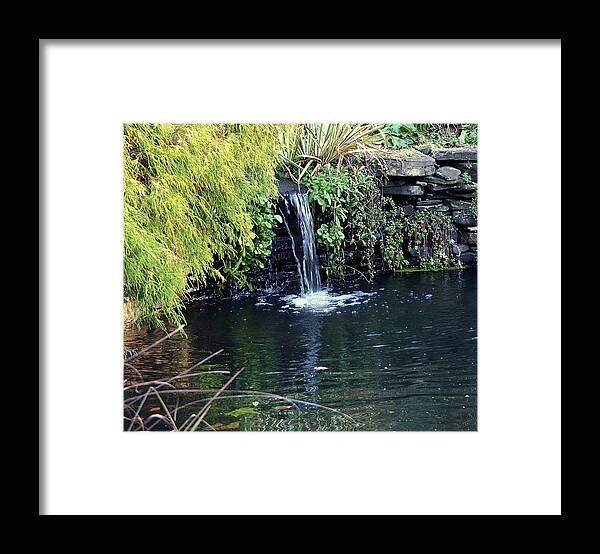 Pond Framed Print featuring the photograph Garden Water by Alida M Haslett