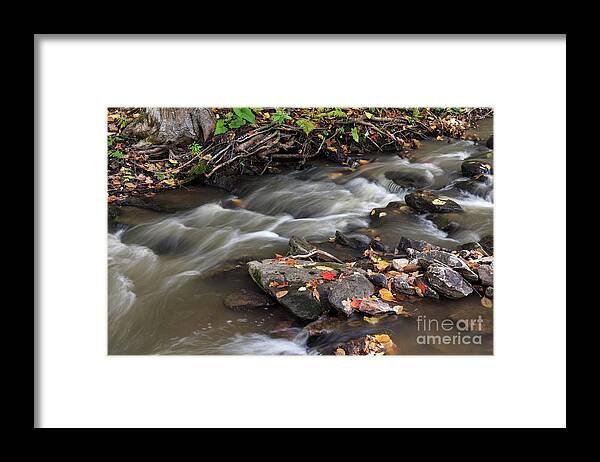Autumn Framed Print featuring the photograph Gatineau Park's Fortune Creek by Michael Russell