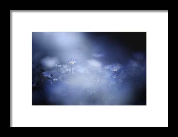 Gentle Framed Print featuring the photograph Gentle Light by Takashi Suzuki