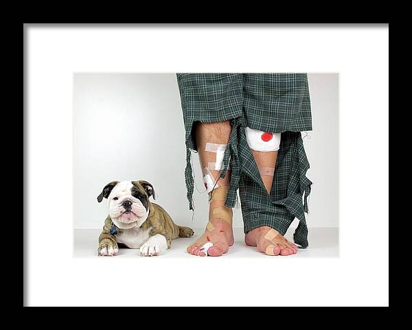 Humor Framed Print featuring the photograph Get A Puppy, They Said by Mike Melnotte