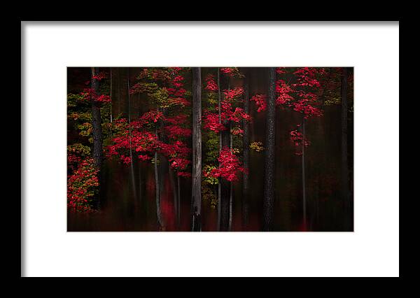 Fall Framed Print featuring the photograph Getting Red by Andy Hu