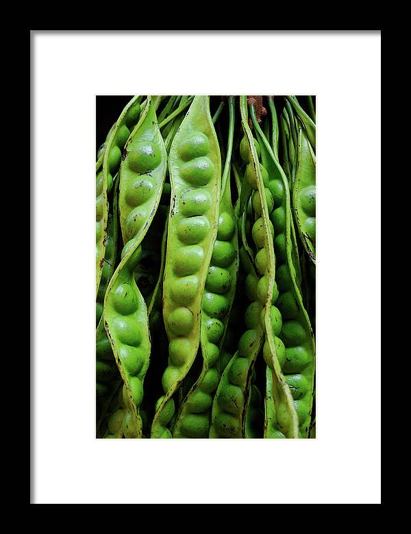 Retail Framed Print featuring the photograph Giant Green Bean by Persefoni Photo Images