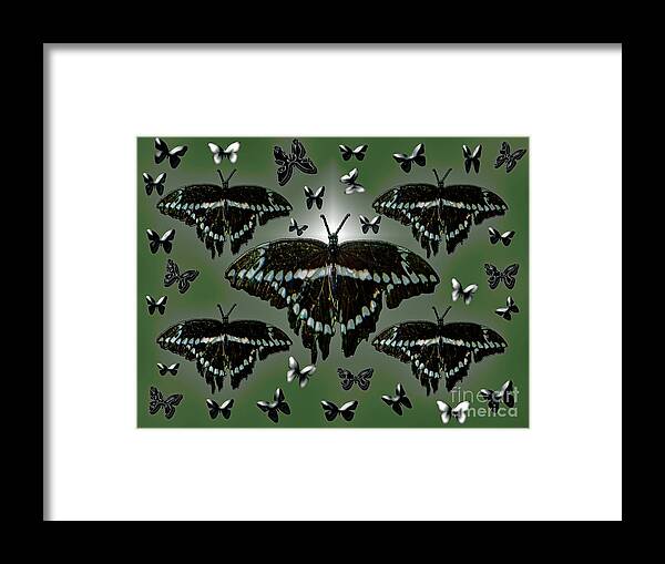 Giant Swallowtail Framed Print featuring the photograph Giant Swallowtail Butterflies by Rockin Docks Deluxephotos