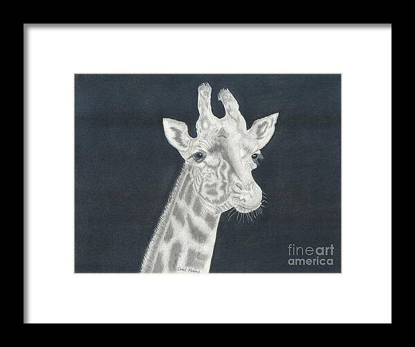 Drawing Framed Print featuring the drawing Giraffe by Carol Morris