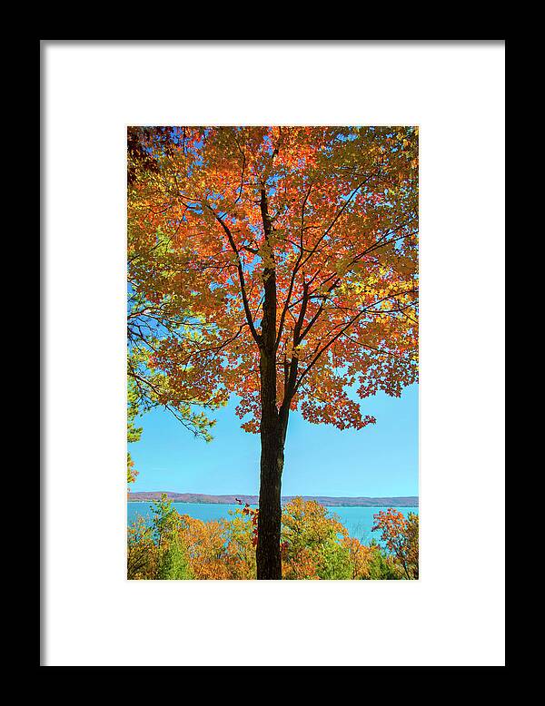 Maple Framed Print featuring the photograph Glowing Red Maple by Owen Weber