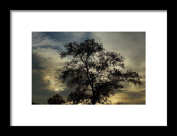Silhouette Framed Print featuring the photograph Glowing Silhouette by Cate Franklyn