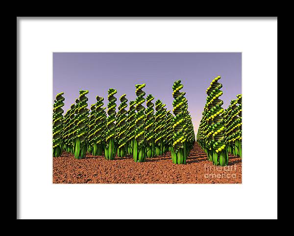  Agriculture Framed Print featuring the digital art GM Crops Landscape by Russell Kightley