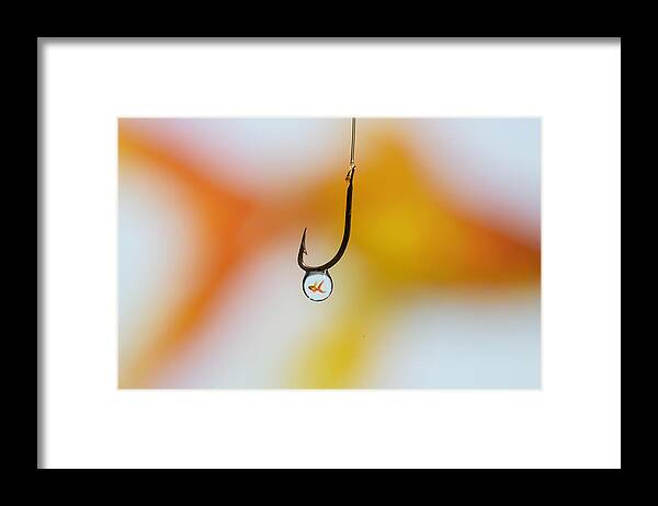 Fish Framed Print featuring the photograph Gold Fish by Cesare Sent