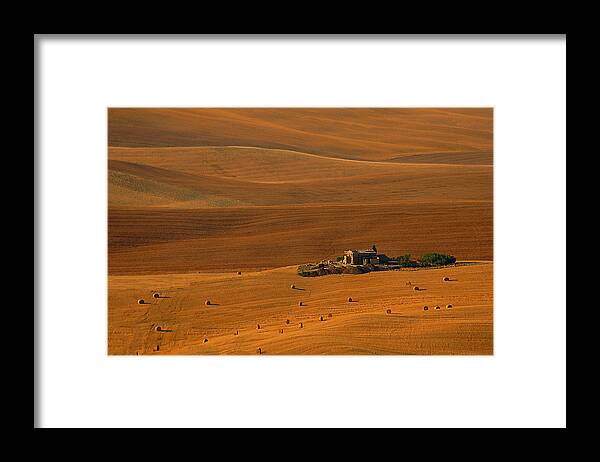 Toscanaitaly Framed Print featuring the photograph Gold Horizon by Jure Kravanja