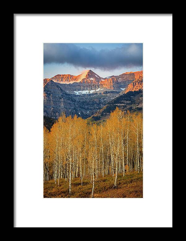 Autumn Framed Print featuring the photograph Golden Aspens with Timp Vertical by Wasatch Light