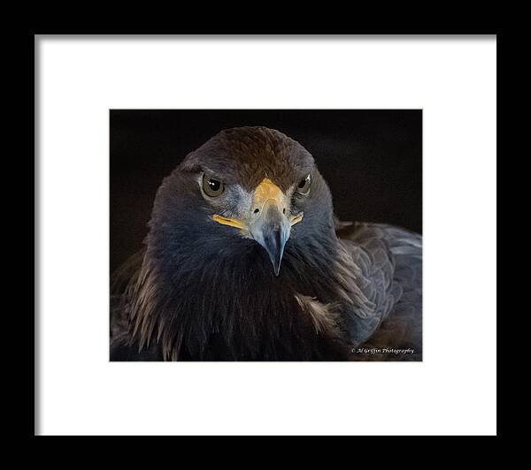 Eagle Framed Print featuring the photograph Golden Eagle I by Al Griffin