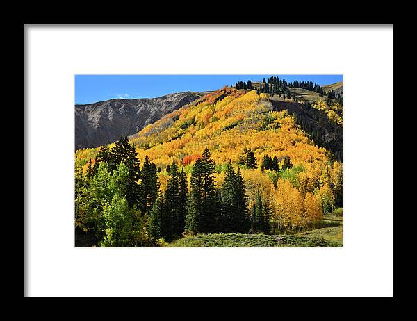 Colorado Framed Print featuring the photograph Golden Hillsides Along Million Dollar Highway by Ray Mathis