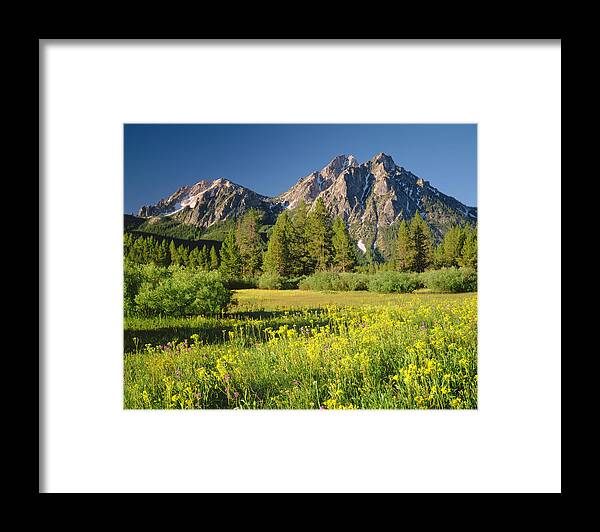 Scenics Framed Print featuring the photograph Golden Morning In Idaho P by Ron thomas