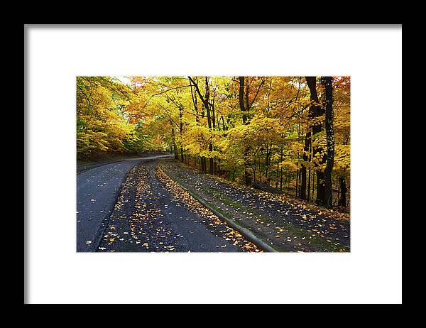 Autumn Framed Print featuring the photograph Golden Road by Steve Ondrus