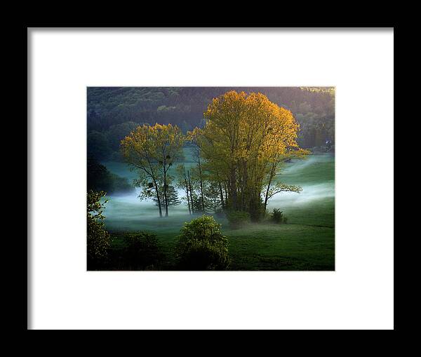 Tranquility Framed Print featuring the photograph Golden Trees In Autumn Mist by Ilya Melnikov